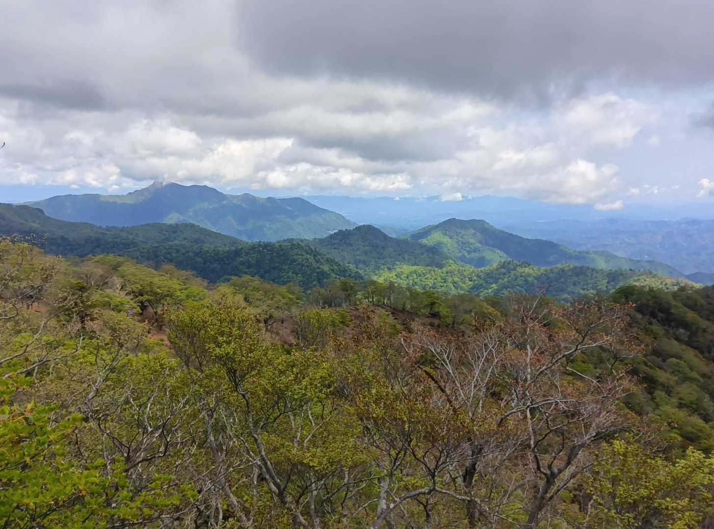 山頂からの景色