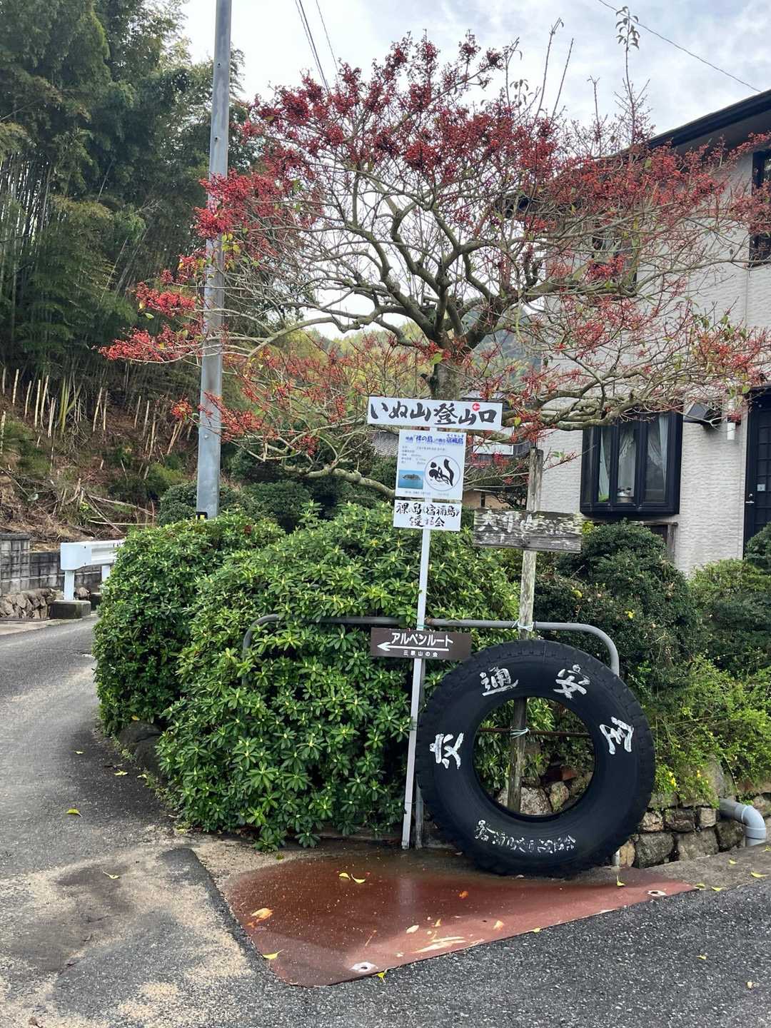 いぬ山登山口