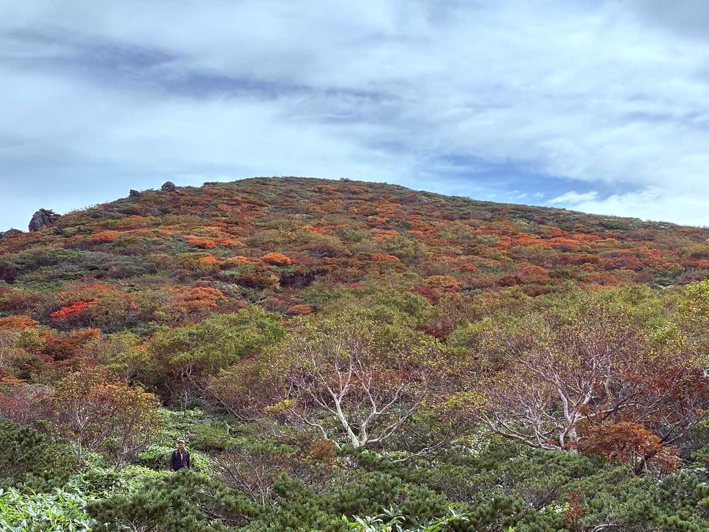 峠の茶屋登山口-朝日の肩-朝日岳-熊見曽根-1900m峰- 往復コースの写真