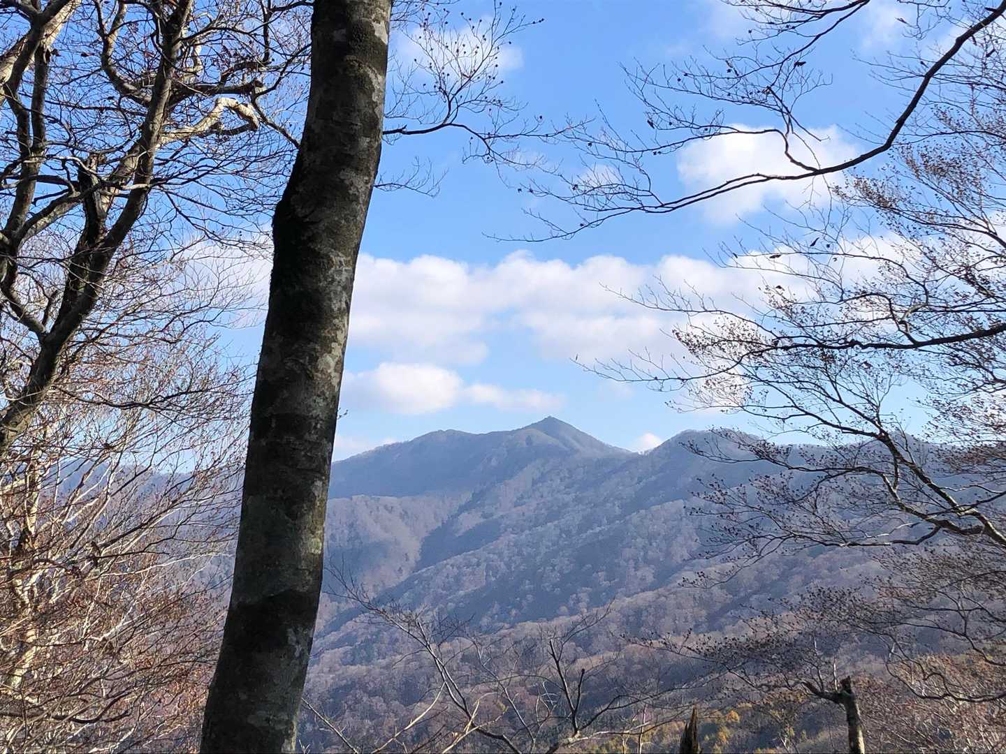 太平山(奥岳)を確認。遠いなぁ〜😌