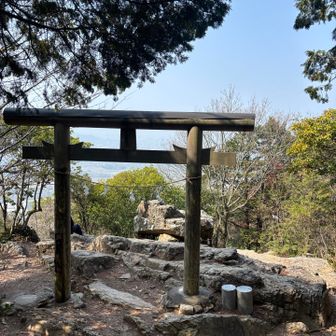 奥宮にお詣りし、振り返ってみる
鳥居の向こうの磐盤は神が宿っていると言われている奥津磐座