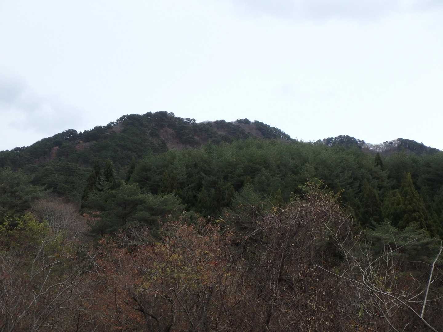 見返り山頂