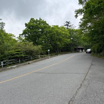 道路沿いを歩いてバス停へ