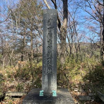 ここで信玄さん生まれたらしい！