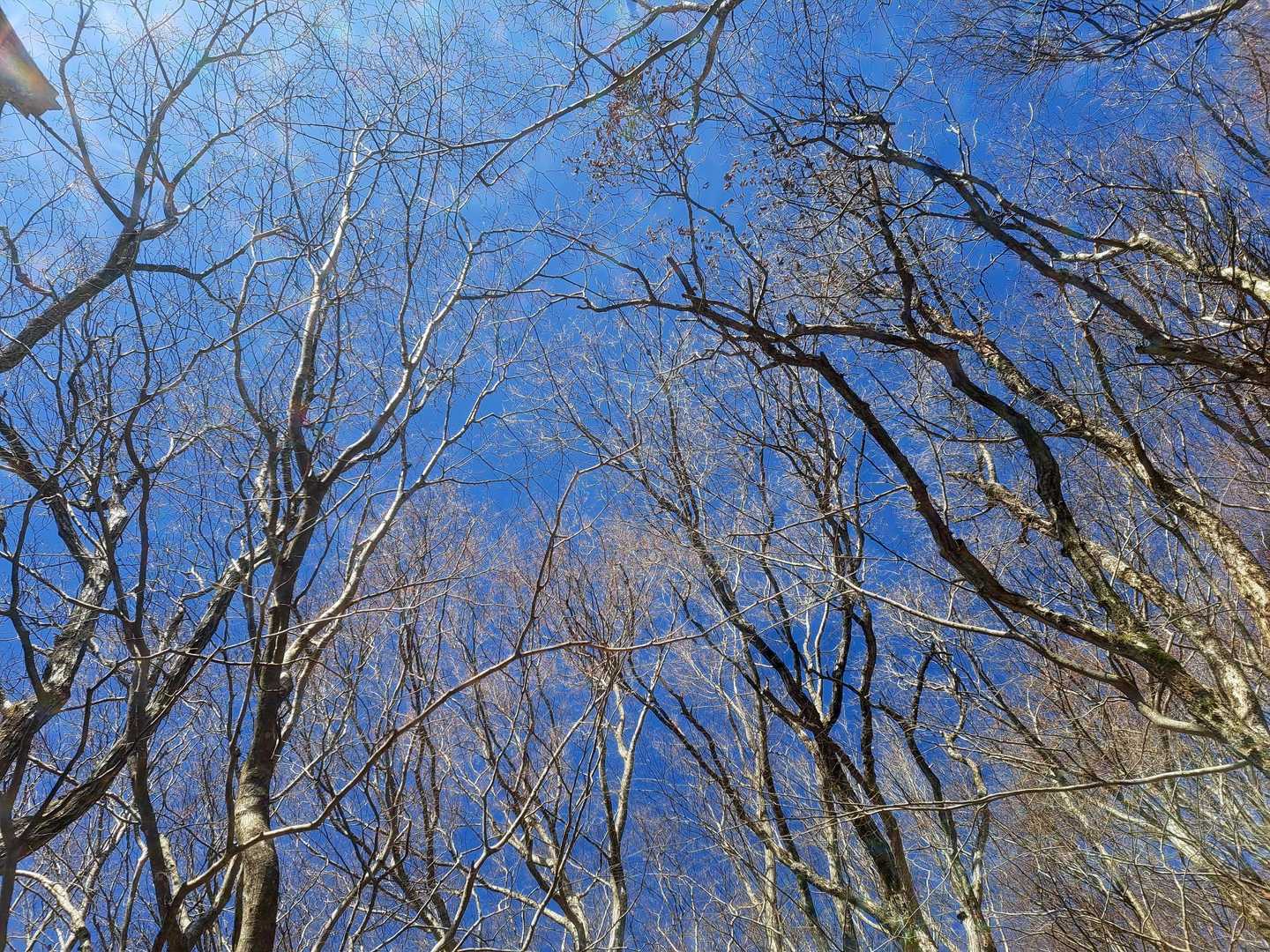 竜王山登山口-竜王山 往復コースの写真