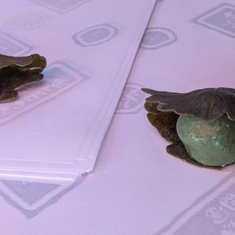 敬神堂さんで柏餅を購入。ペーパーウェイトまで柏餅🤭