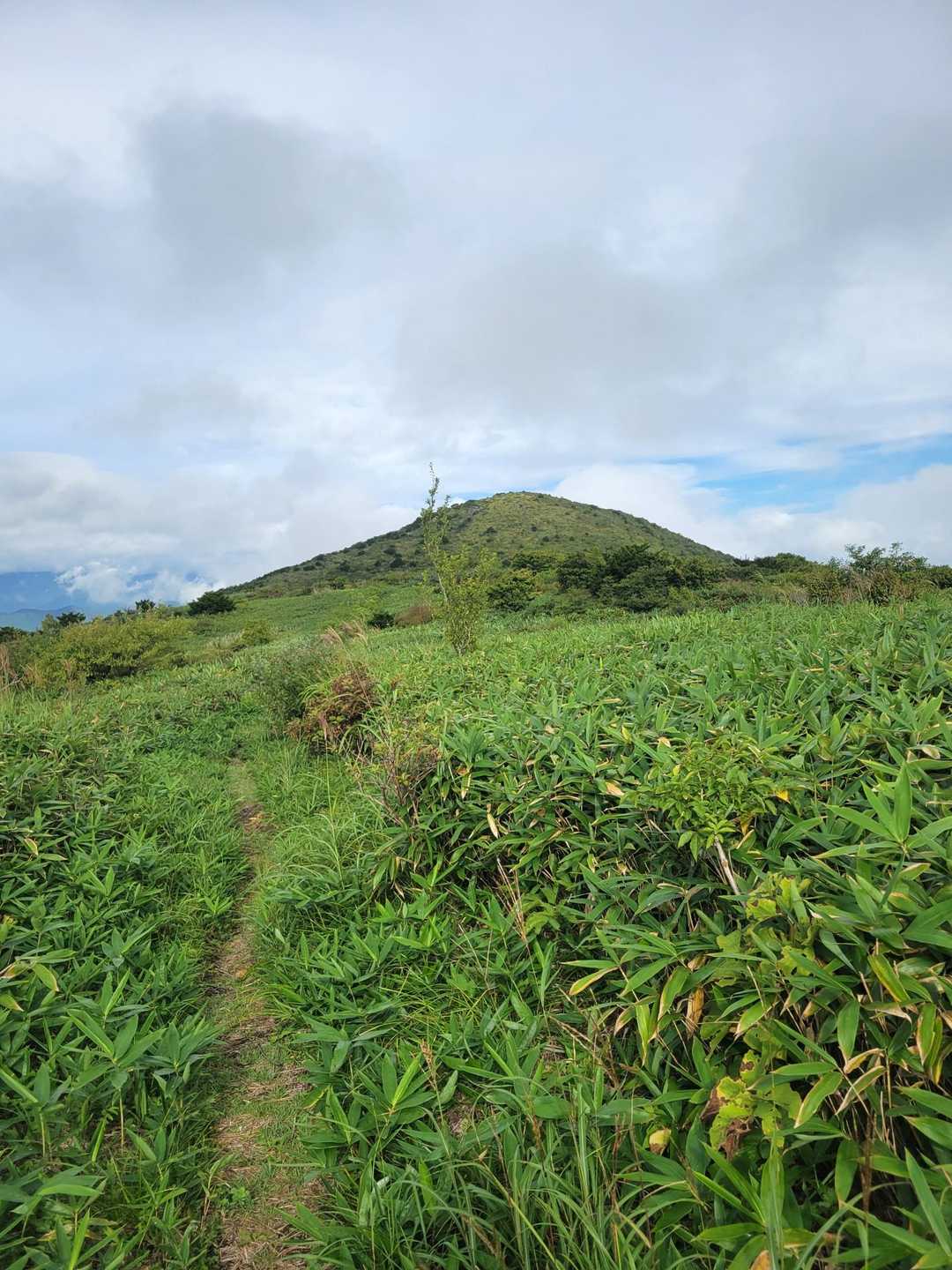 月見が丘登山口-岩樋山-道後山 往復コース
の写真