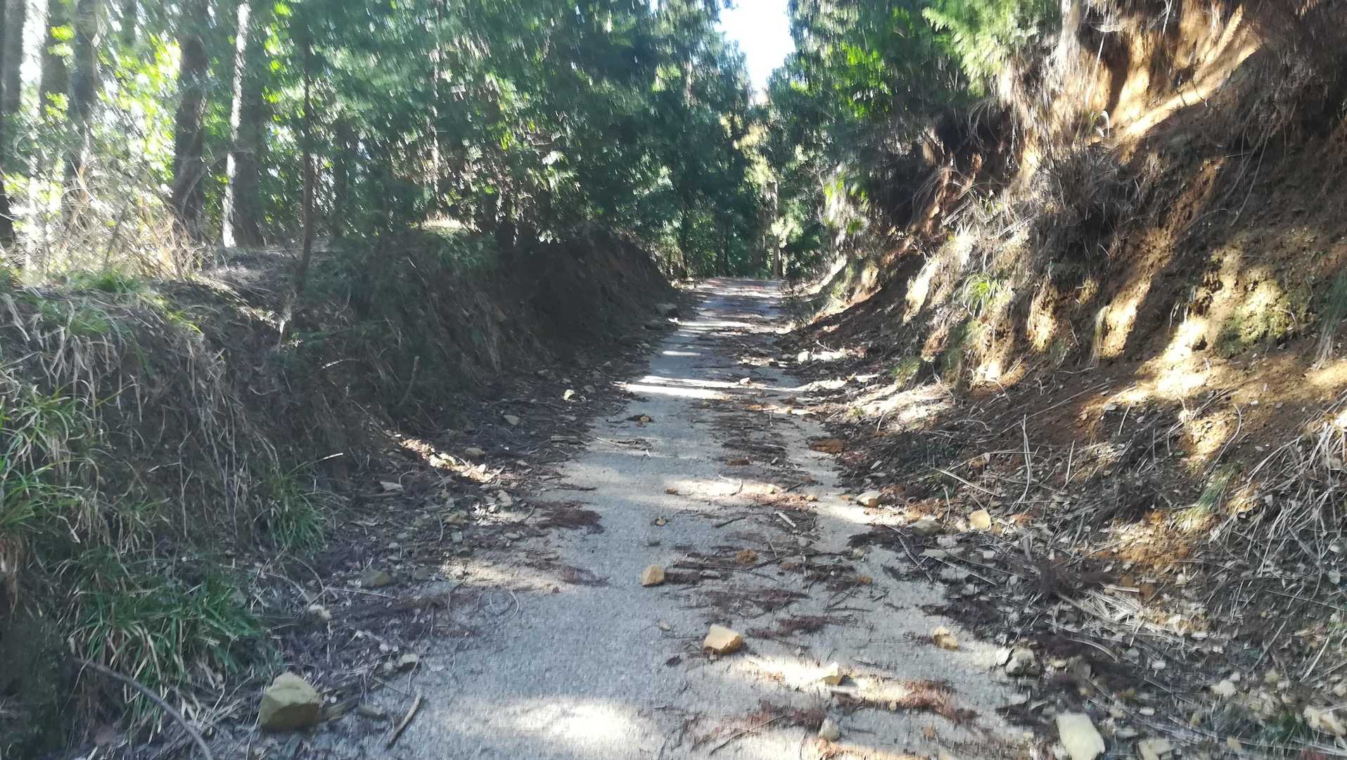 しばらくは、舗装林道。