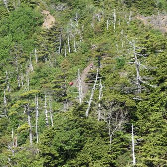 鋸山の鎖場を登る方達
けっこう厳しそう