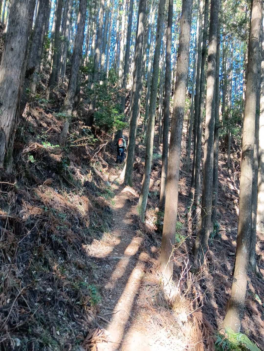 細い道は注意して進む。