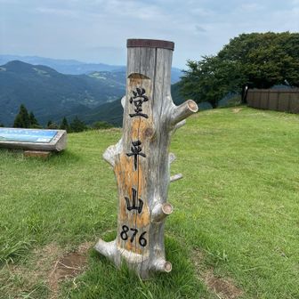 暑くて写真どころじゃなかったらしい笑💦