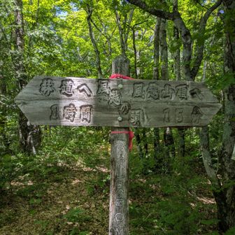 風越の頭