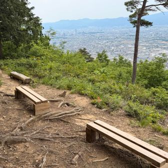 こちらにも沢山✨🙇‍♀️