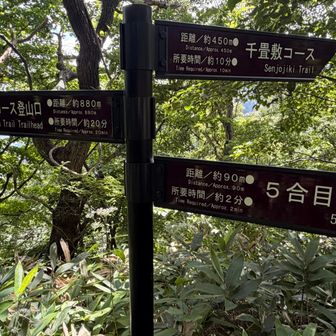 分岐に到着