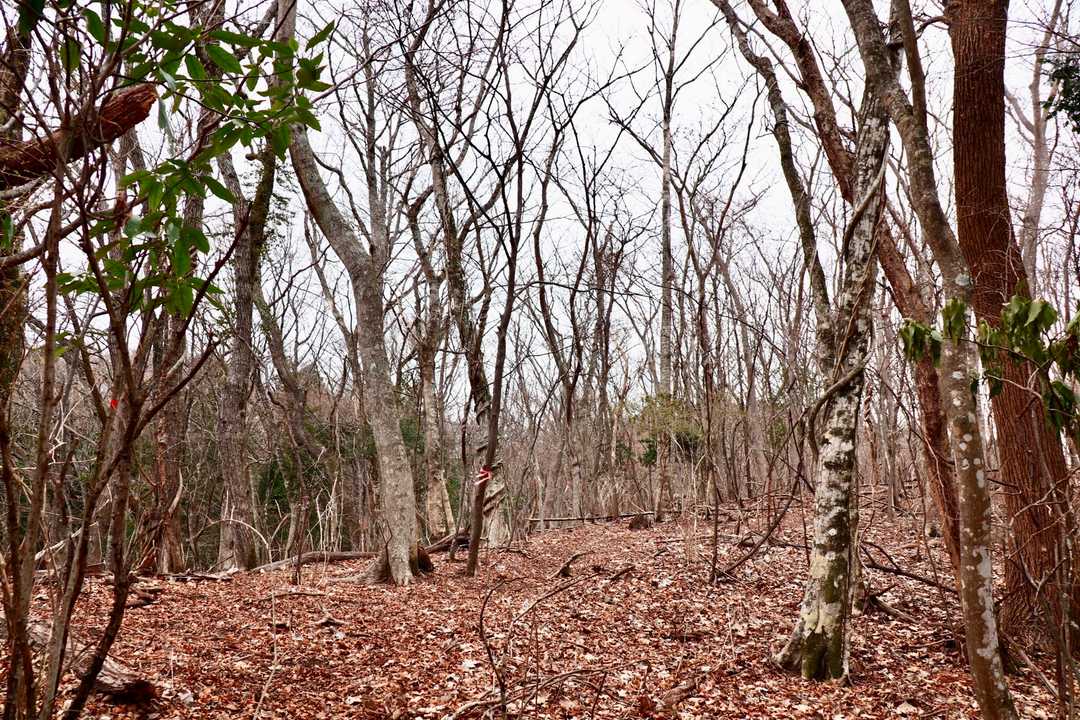 登り詰めた後の山頂までの道のりは、心地よい道…。まるで、真壁刀義の＂スイーツ男子＂な一面を見せられたよう…。