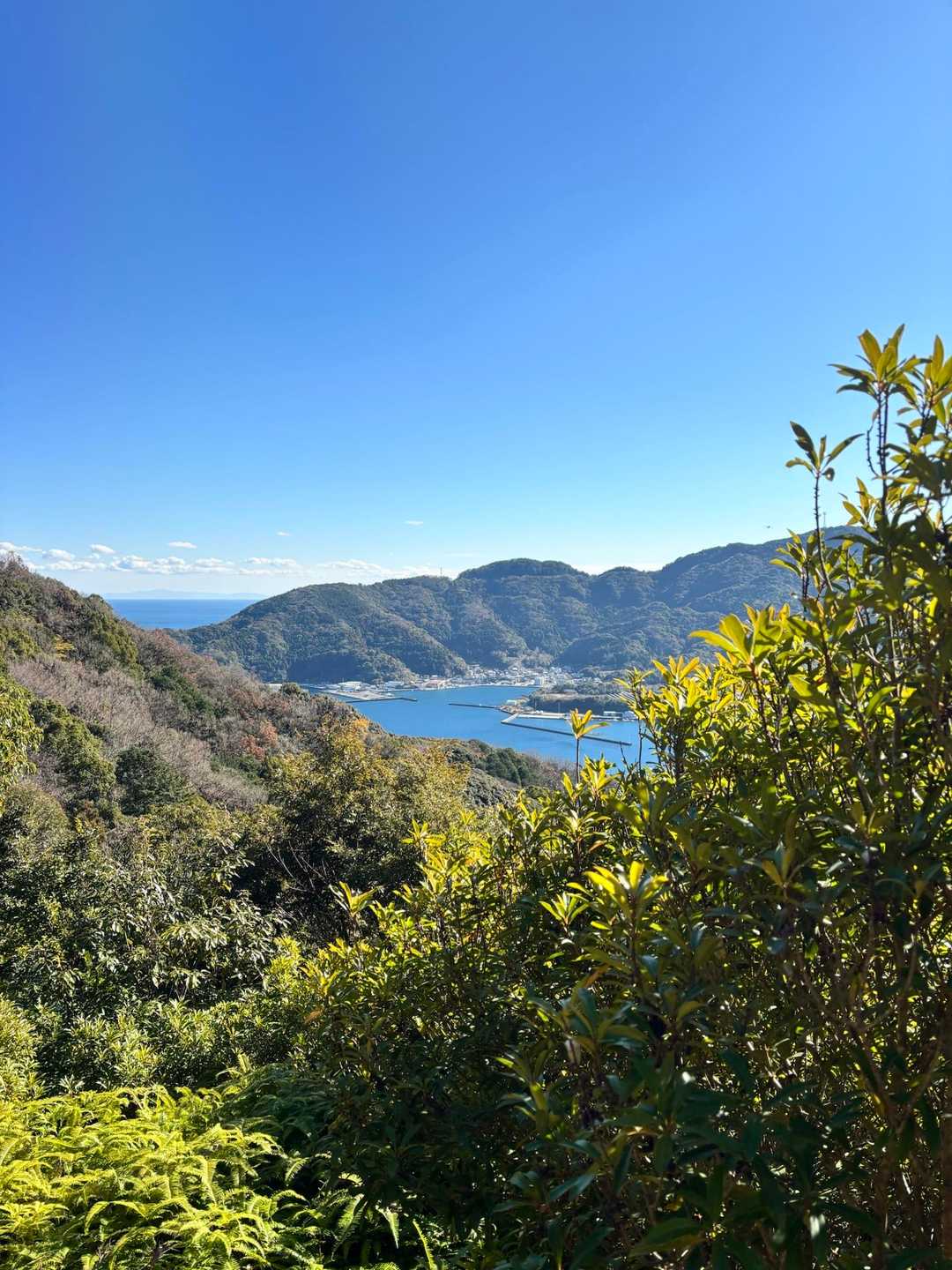 荷物は少ないから 軽いけど
身体が重いー💦
と 言いながら、、。