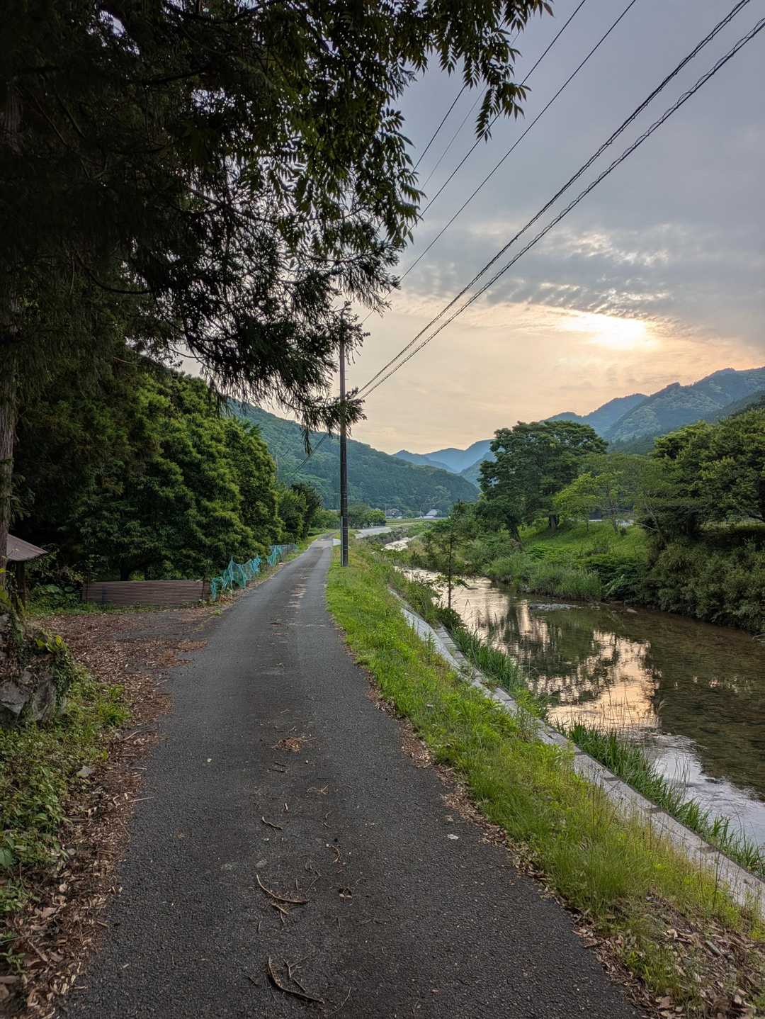 この時間帯に登山するのは久しぶり
いい朝や