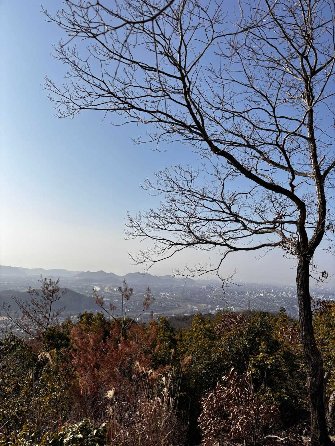 随願寺-増位山-廣峯神社-弥高山 周回コースの写真