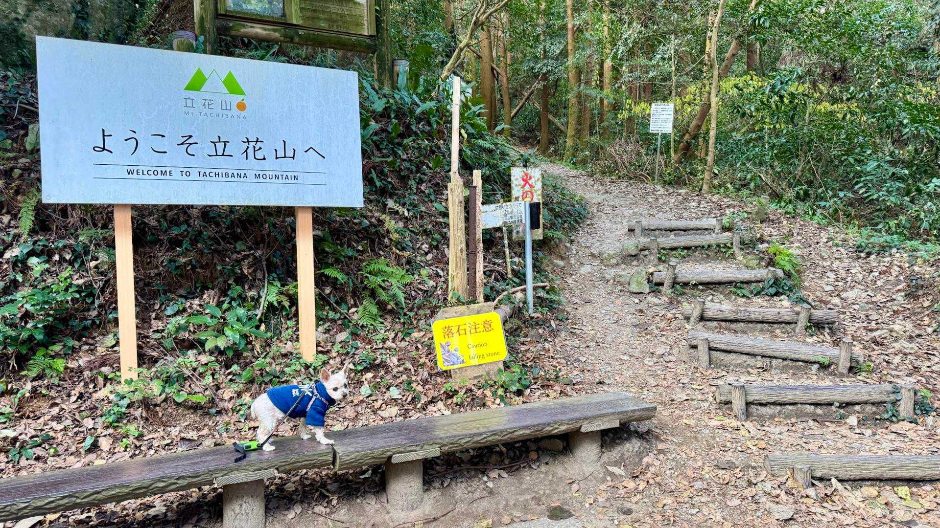 無事下山