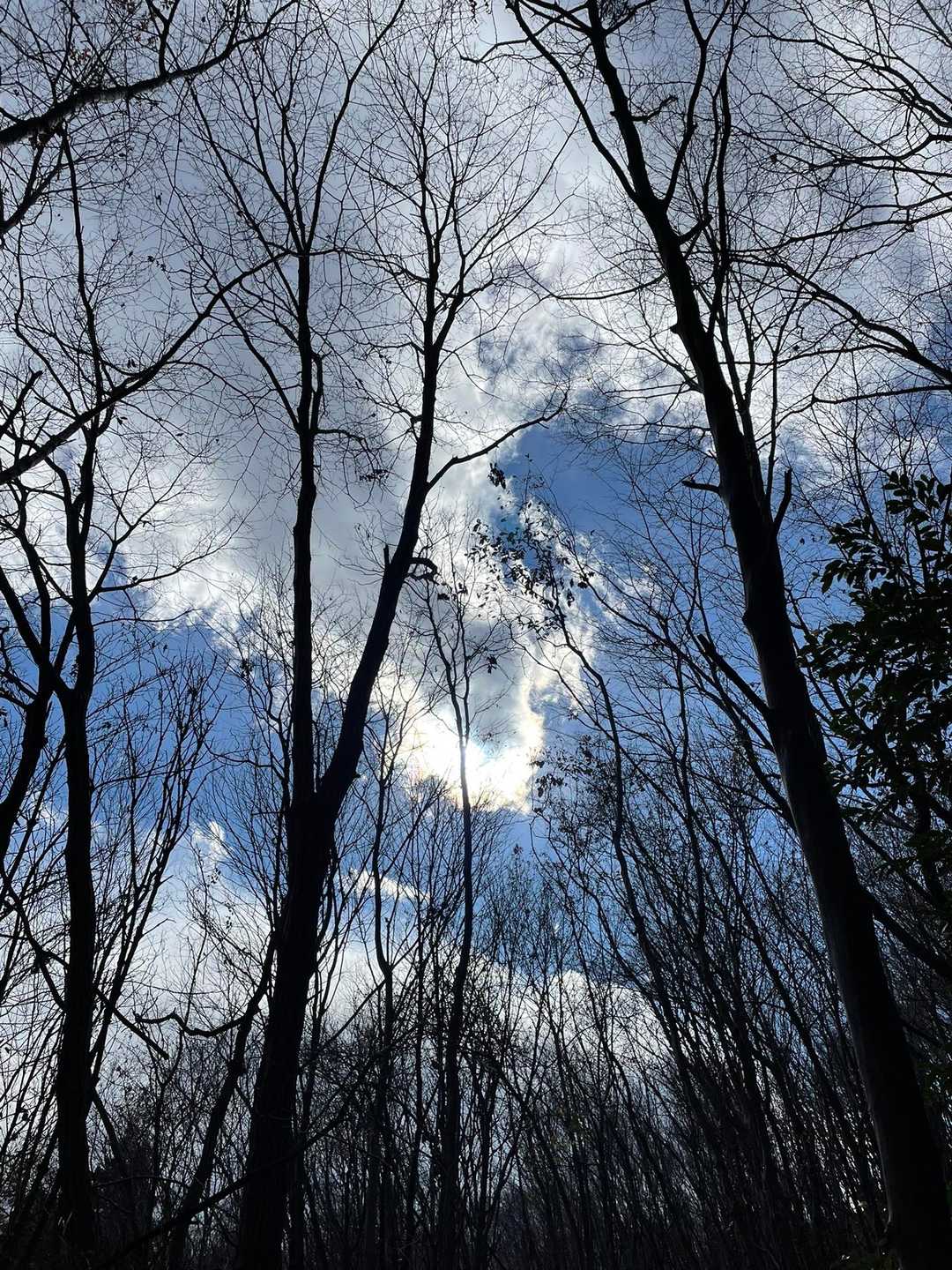この時間からなので人も少なく
静かな山⛰です😌