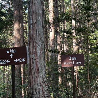 ここは3号目