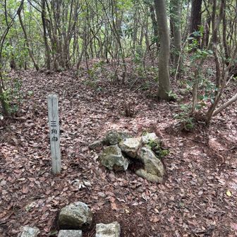 結構急登登ってきたのに、、

4️⃣北山　見晴らしなし　残念😢