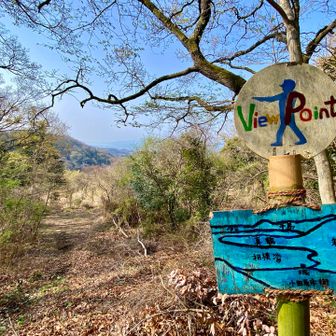 今日は霞んでいたけど、ビュースポット