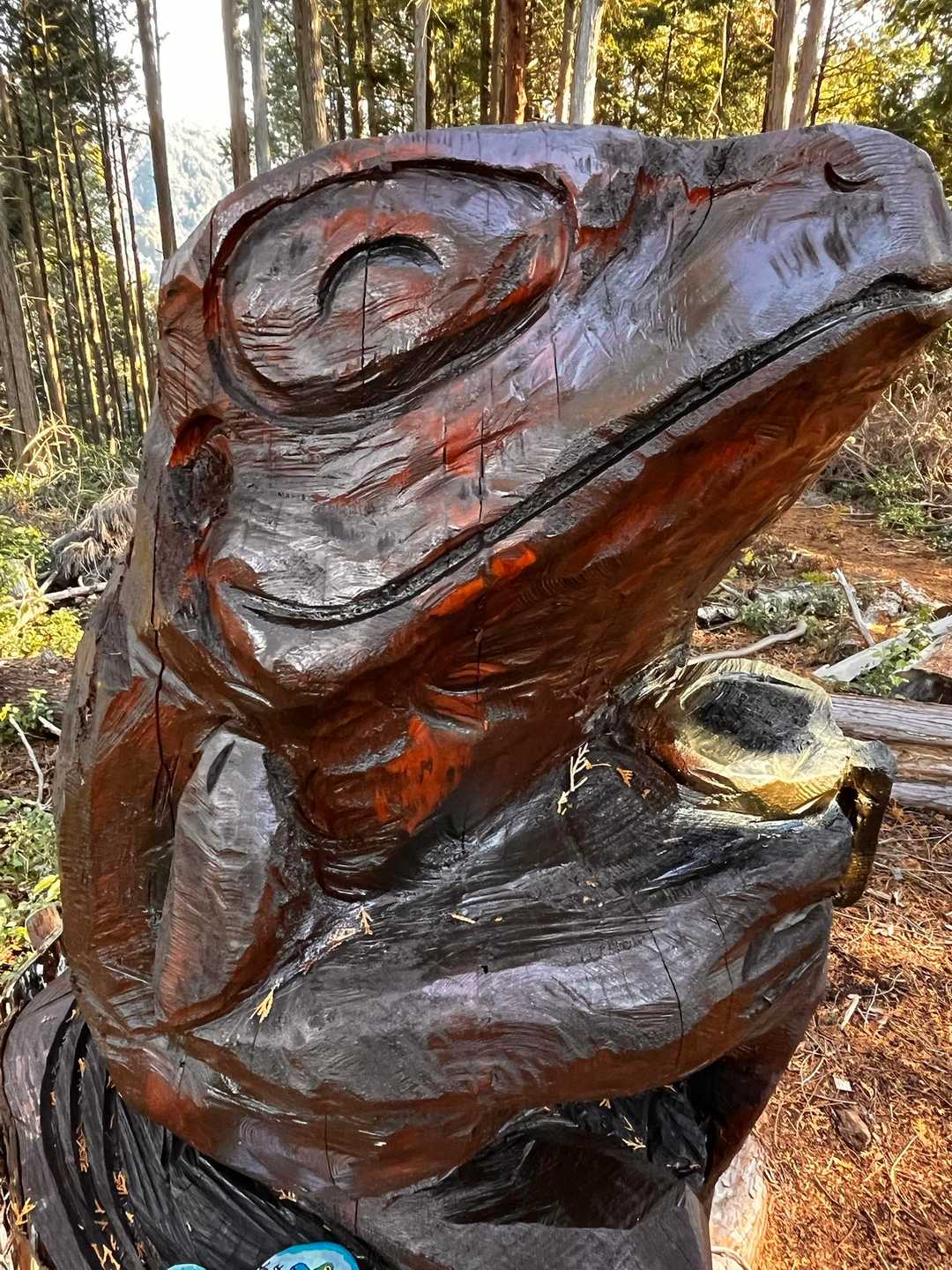 この笑顔🐸に癒される〜♪
