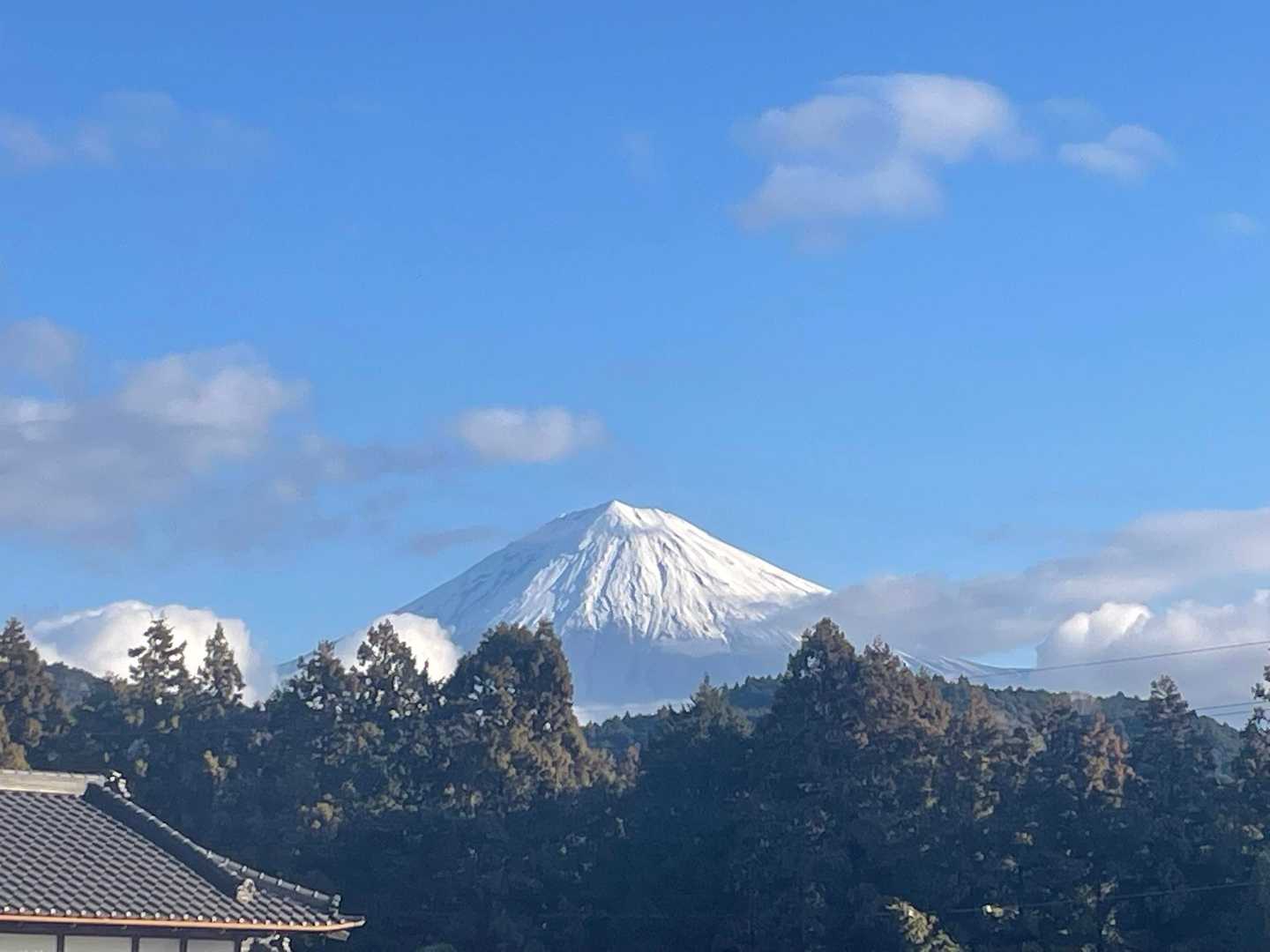 麓の茶畑までくだったところで見えました。