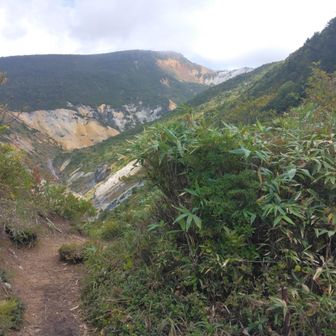 最初の分岐を右へ。船明神山方面へ