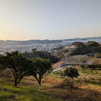 勝岡丘陵から白石の鼻が見える
