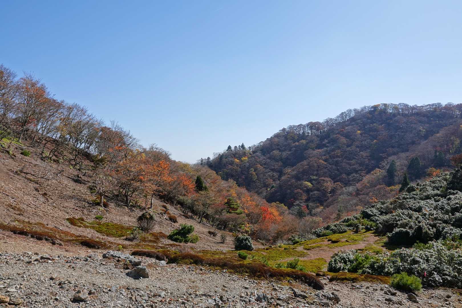 銚子ヶ口登山口-銚子ヶ口-大峠の頭-水舟の池 往復コースの写真