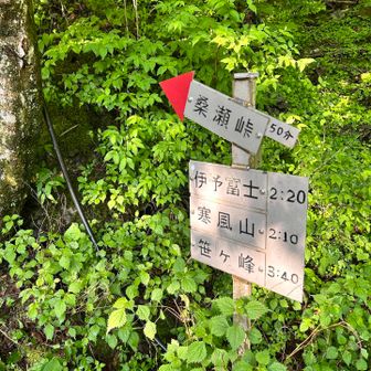 伊予富士に向かいます。