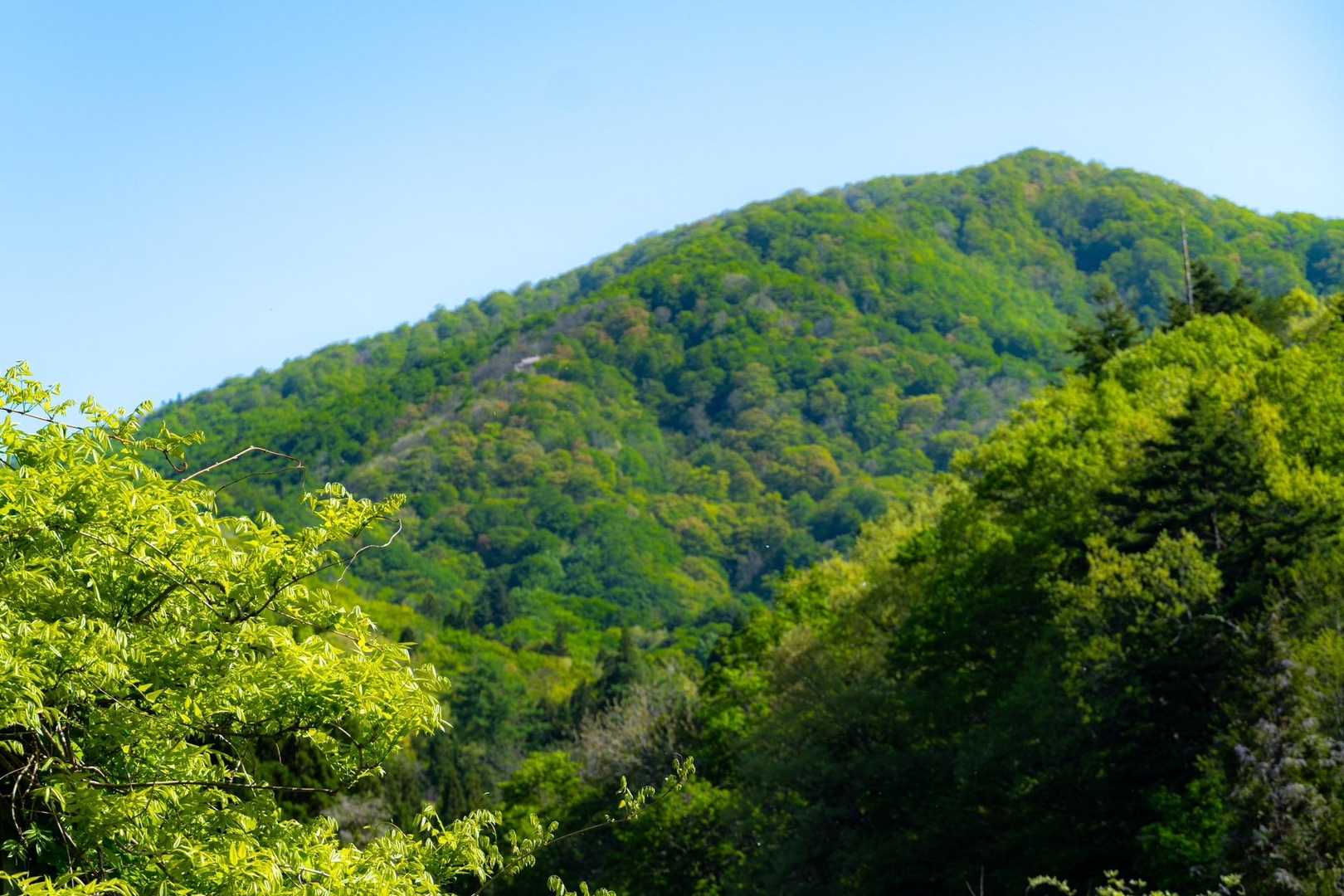 
YAMAPの地図上でP664と思われる山が見えます。