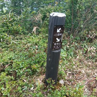 長倉山