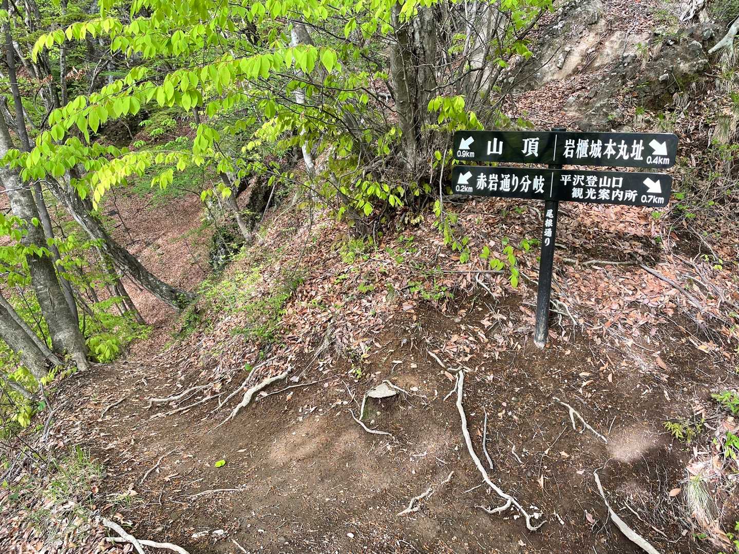 尾根ルートからの赤岩ルートへ