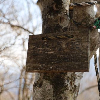要所小屋ノ頭…読めない…