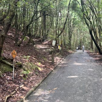 登山口