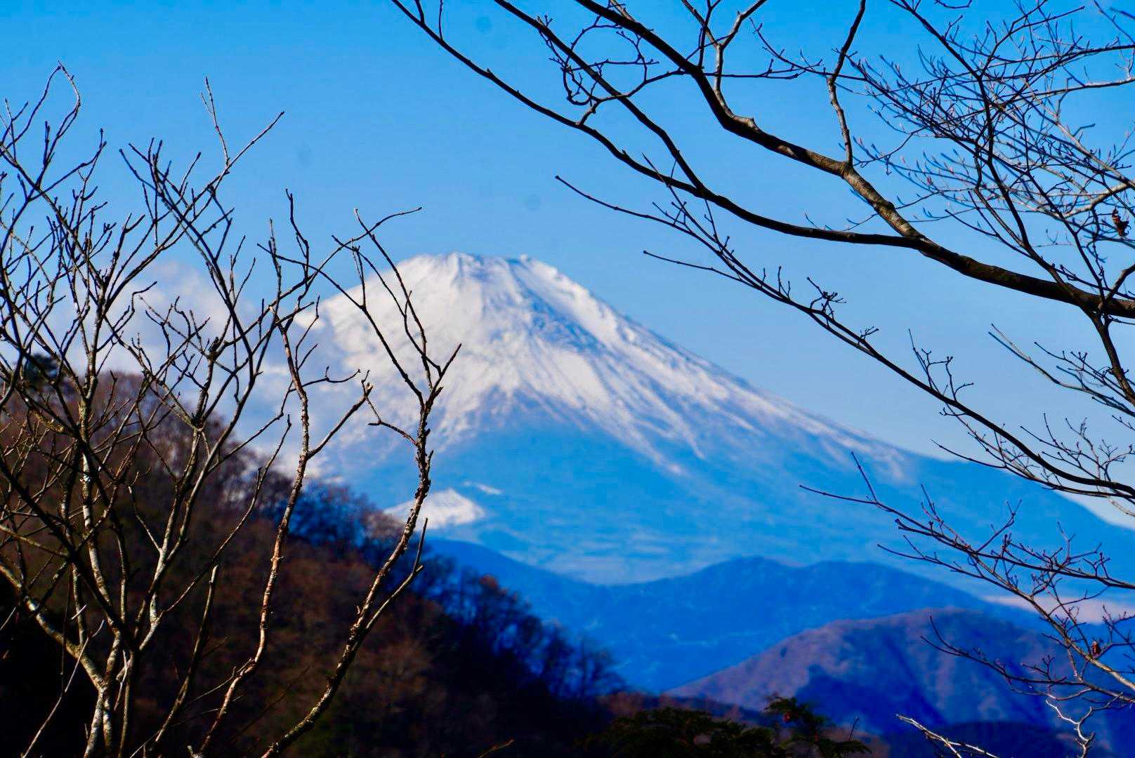 雨山峠-雨山-檜岳-伊勢沢ノ頭-秦野峠-林道秦野峠 周回コースの写真