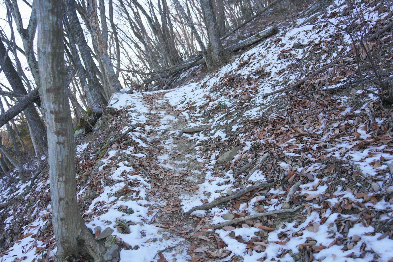 方角によって残雪が少し
この日はチェンスパ無しで問題なし。でも携行必須ですな