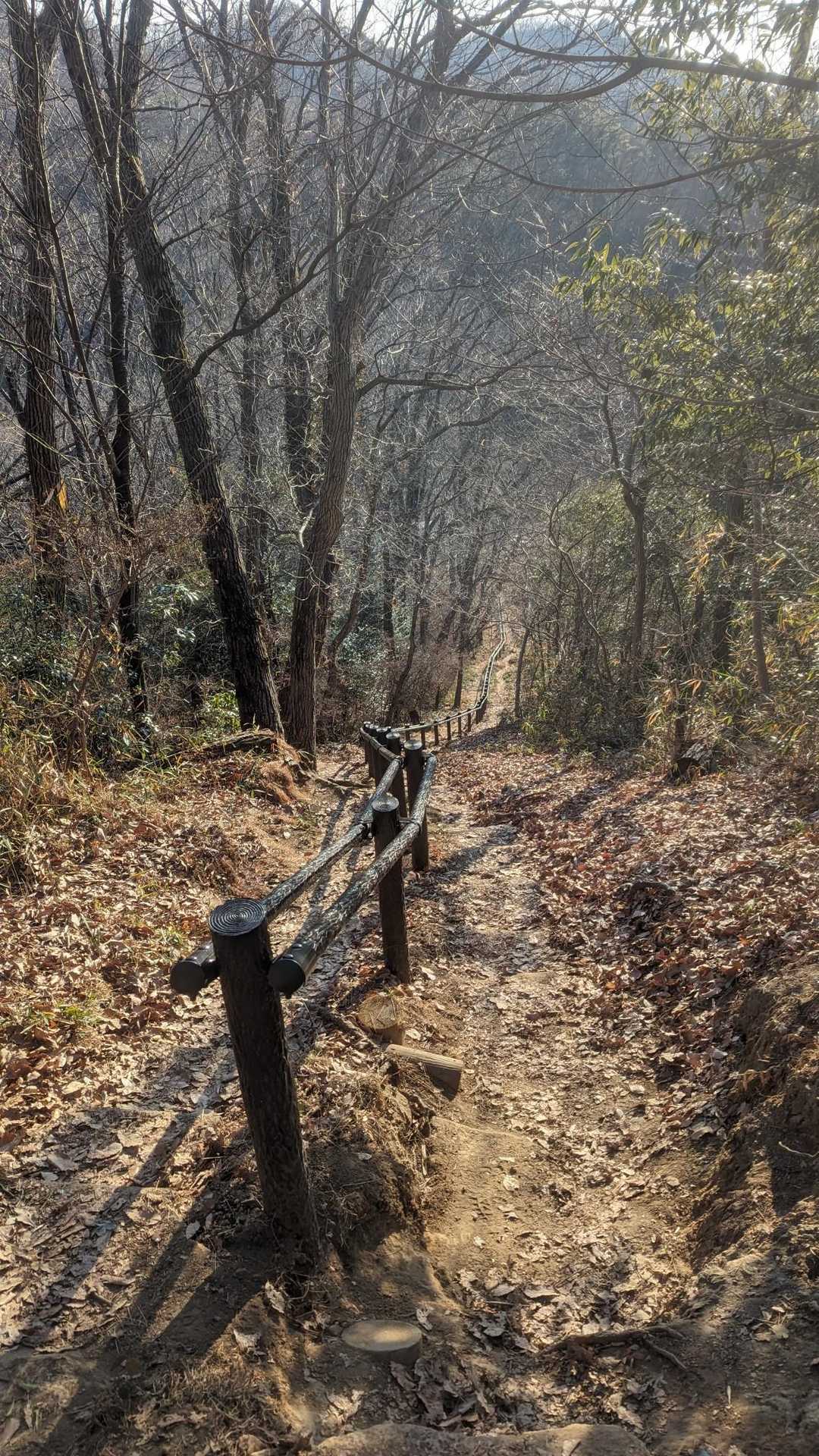 🚶桜峠へ…