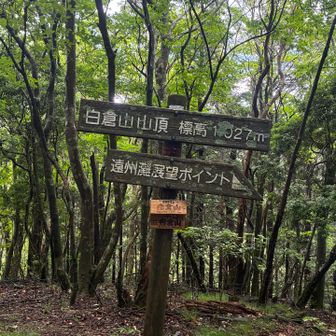 今日二回目の白倉山