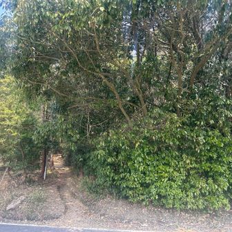 ゲザーン‼️
mayumiさん、もっちさん、ランちゃん
と4人で初めて登りましたが
初めて登った感じはなく終始笑いが
絶えない楽しい時間でした☺️
またタイミングが合えばぜひ登りましょう✨