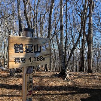 鶴寝山登頂🙌
ここから先、大マテイ山までの登山道ですが、枯れ葉に埋もれ見えなくなっている箇所が多く、GPS頼りに進みました。