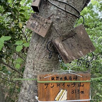 おにぎりが食べたいなんて😁
此処は枚方の最高峰