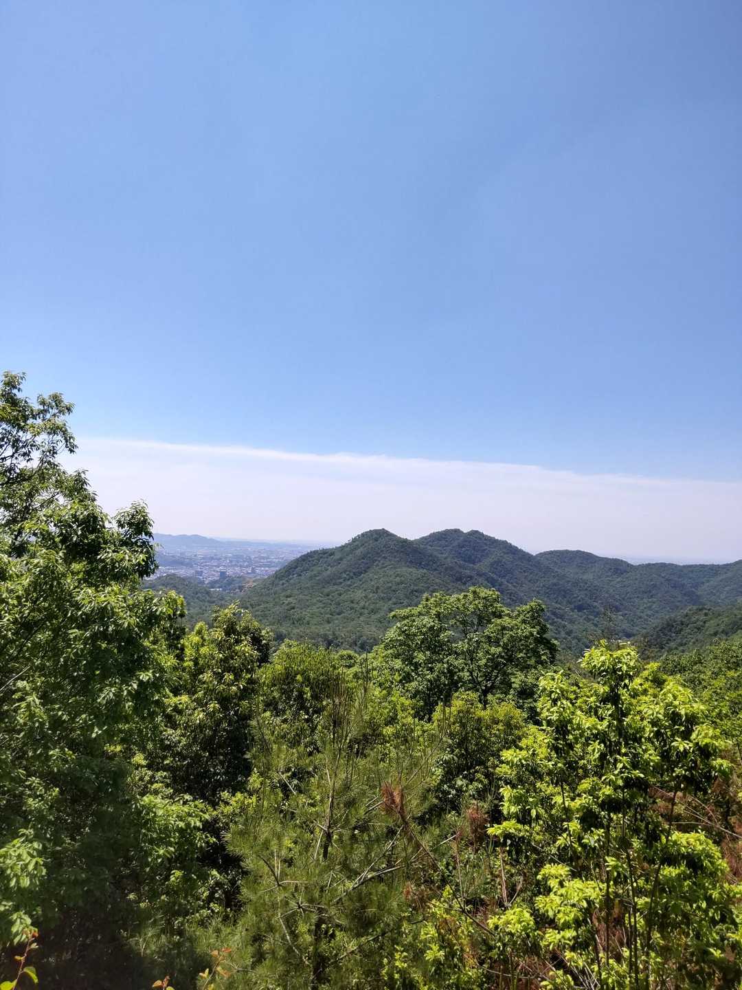 からの見晴らし😉👍️✨