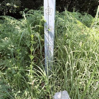 白岳頂上！
草ぼうぼうで、誰も来てない感じ😅