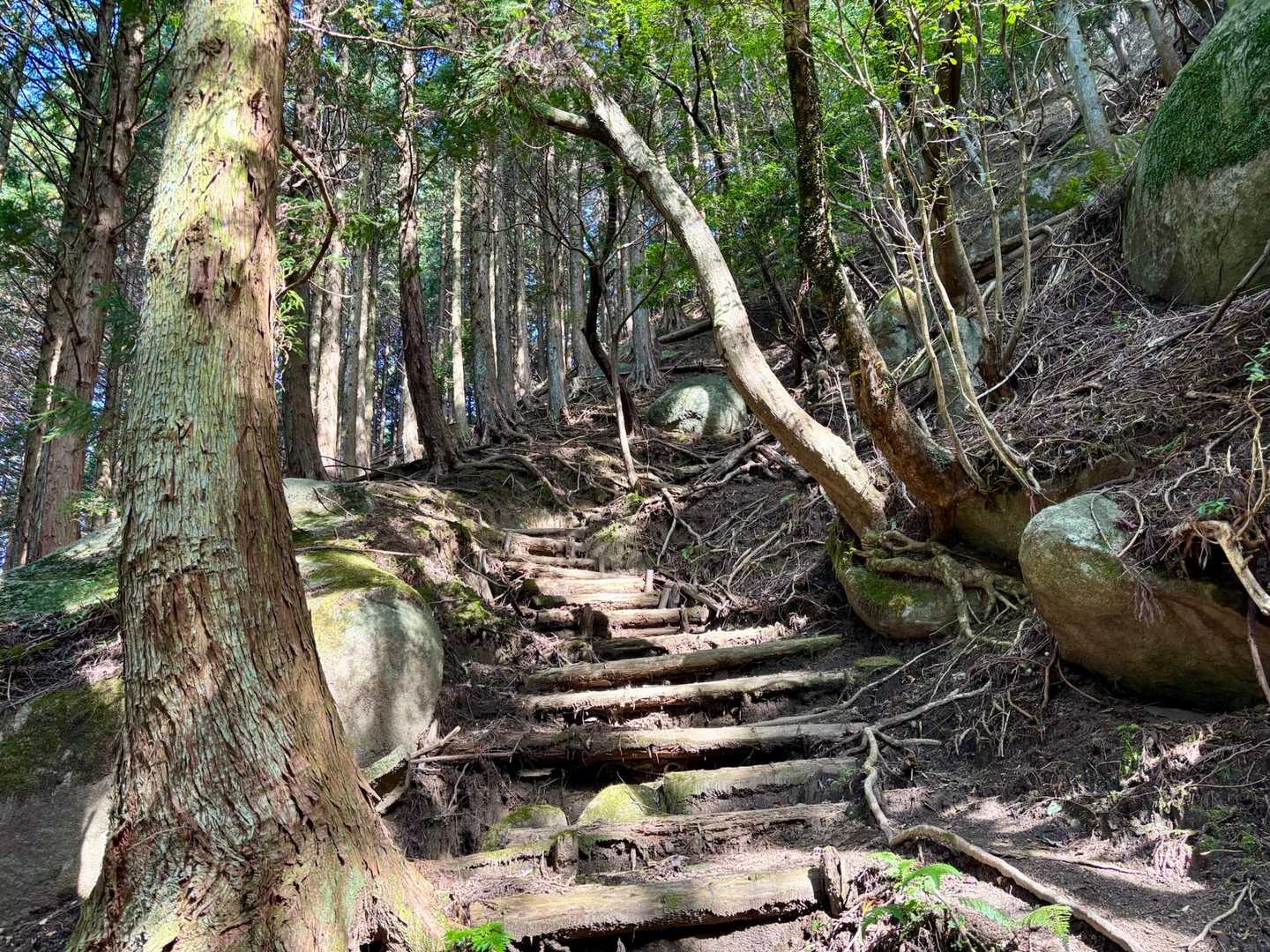 日が照って輝くお山✨