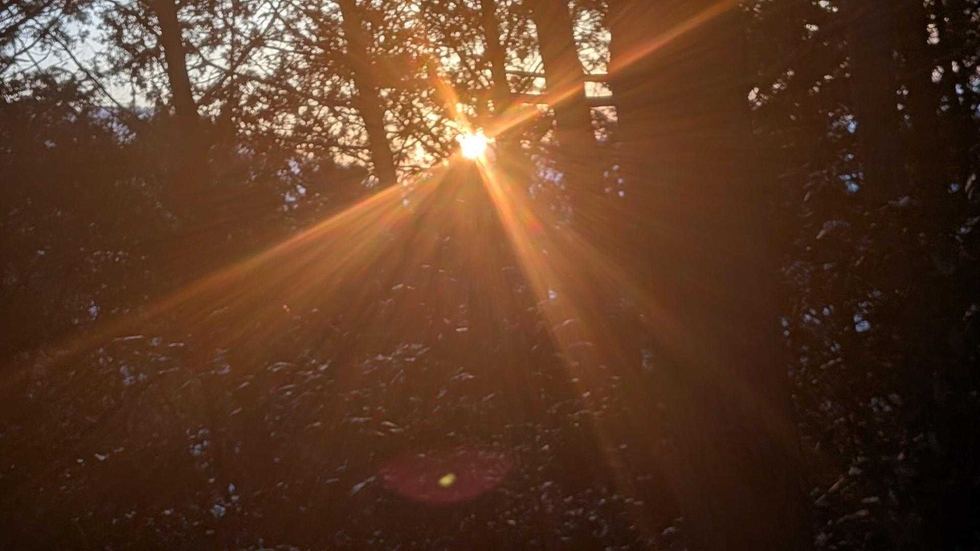 朝日の登場