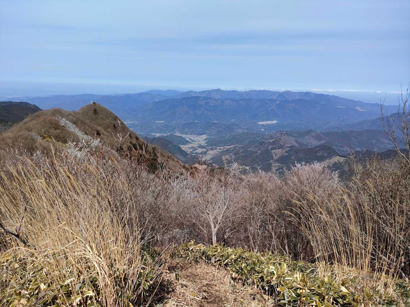 高縄半島の山々が見えます。
